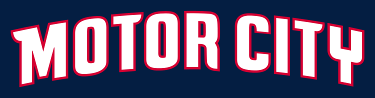 Detroit Pistons 2013-Pres Wordmark Logo iron on heat transfer